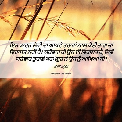 Picture 06 - ਅਸਤਸਨਾ 10:9 PANIRV - ਇਸ ਕਾਰਨ ਲੇਵੀ ਦਾ - Bible Verse Picture