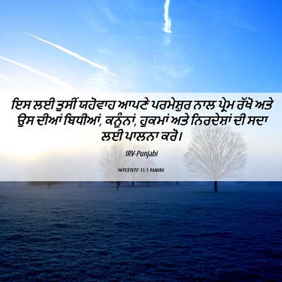 Picture 06 - ਅਸਤਸਨਾ 11:1 PANIRV - ਇਸ ਲਈ ਤੁਸੀਂ ਯਹੋਵਾਹ - Bible Verse Picture