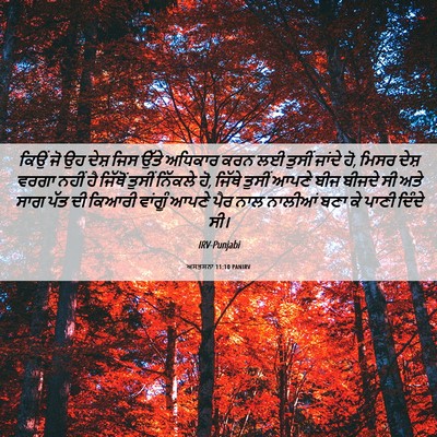 Picture 06 - ਅਸਤਸਨਾ 11:10 PANIRV - ਕਿਉਂ ਜੋ ਉਹ ਦੇਸ਼ ਜਿਸ - Bible Verse Picture