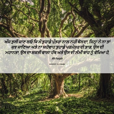 Picture 06 - ਅਸਤਸਨਾ 11:2 PANIRV - ਅੱਜ ਤੁਸੀਂ ਜਾਣ ਲਓ ਕਿ - Bible Verse Picture