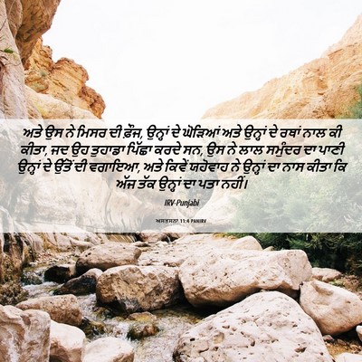 Picture 06 - ਅਸਤਸਨਾ 11:4 PANIRV - ਅਤੇ ਉਸ ਨੇ ਮਿਸਰ ਦੀ - Bible Verse Picture