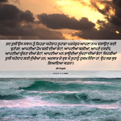 Picture 06 - ਅਸਤਸਨਾ 12:11 PANIRV - ਤਦ ਤੁਸੀਂ ਉਸ ਸਥਾਨ - Bible Verse Picture