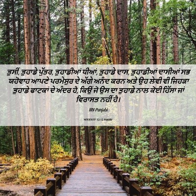 Picture 06 - ਅਸਤਸਨਾ 12:12 PANIRV - ਤੁਸੀਂ, ਤੁਹਾਡੇ - Bible Verse Picture