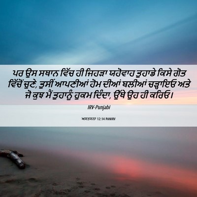 Picture 06 - ਅਸਤਸਨਾ 12:14 PANIRV - ਪਰ ਉਸ ਸਥਾਨ ਵਿੱਚ ਹੀ - Bible Verse Picture