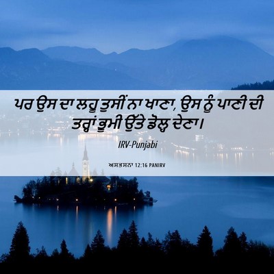 Picture 06 - ਅਸਤਸਨਾ 12:16 PANIRV - ਪਰ ਉਸ ਦਾ ਲਹੂ ਤੁਸੀਂ - Bible Verse Picture