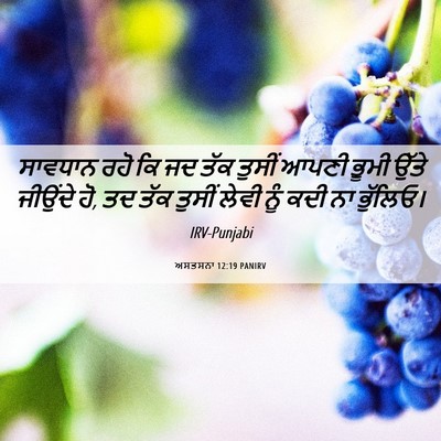 Picture 06 - ਅਸਤਸਨਾ 12:19 PANIRV - ਸਾਵਧਾਨ ਰਹੋ ਕਿ ਜਦ - Bible Verse Picture