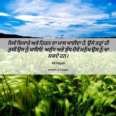 Picture 06 - ਅਸਤਸਨਾ 12:22 PANIRV - ਜਿਵੇਂ ਚਿਕਾਰੇ ਅਤੇ - Bible Verse Picture