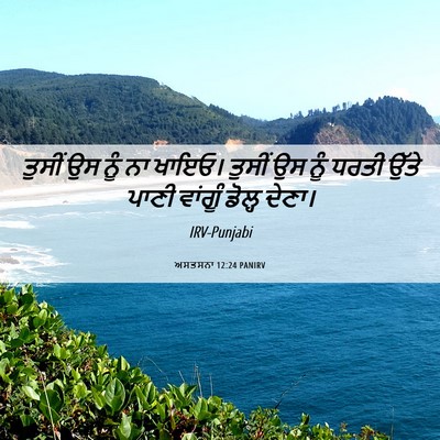 Picture 06 - ਅਸਤਸਨਾ 12:24 PANIRV - ਤੁਸੀਂ ਉਸ ਨੂੰ ਨਾ - Bible Verse Picture