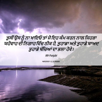 Picture 06 - ਅਸਤਸਨਾ 12:25 PANIRV - ਤੁਸੀਂ ਉਸ ਨੂੰ ਨਾ - Bible Verse Picture