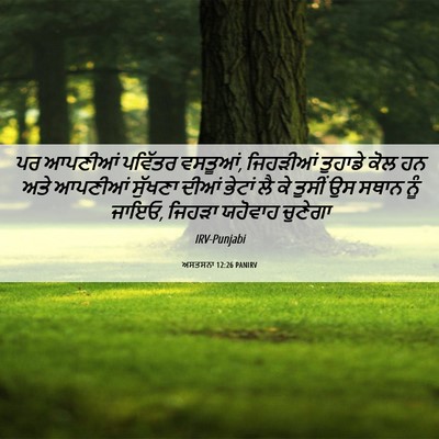 Picture 06 - ਅਸਤਸਨਾ 12:26 PANIRV - ਪਰ ਆਪਣੀਆਂ ਪਵਿੱਤਰ - Bible Verse Picture