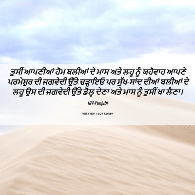 Picture 06 - ਅਸਤਸਨਾ 12:27 PANIRV - ਤੁਸੀਂ ਆਪਣੀਆਂ ਹੋਮ - Bible Verse Picture
