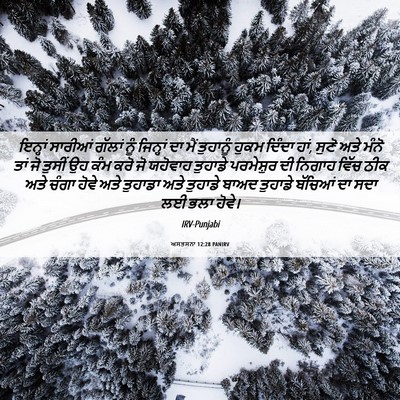 Picture 06 - ਅਸਤਸਨਾ 12:28 PANIRV - ਇਨ੍ਹਾਂ ਸਾਰੀਆਂ - Bible Verse Picture