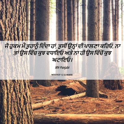 Picture 06 - ਅਸਤਸਨਾ 12:32 PANIRV - ਜੋ ਹੁਕਮ ਮੈਂ - Bible Verse Picture