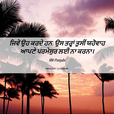 Picture 06 - ਅਸਤਸਨਾ 12:4 PANIRV - ਜਿਵੇਂ ਉਹ ਕਰਦੇ ਹਨ, - Bible Verse Picture