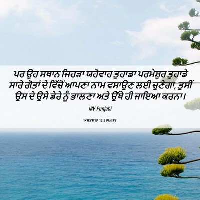 Picture 06 - ਅਸਤਸਨਾ 12:5 PANIRV - ਪਰ ਉਹ ਸਥਾਨ ਜਿਹੜਾ - Bible Verse Picture