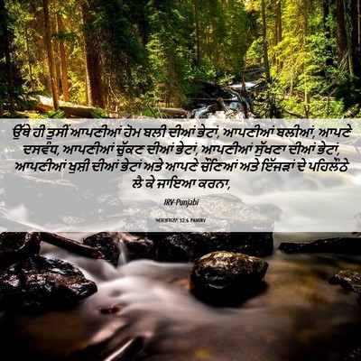 Picture 06 - ਅਸਤਸਨਾ 12:6 PANIRV - ਉੱਥੇ ਹੀ ਤੁਸੀਂ - Bible Verse Picture