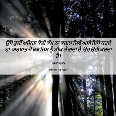 Picture 06 - ਅਸਤਸਨਾ 12:8 PANIRV - ਉੱਥੇ ਤੁਸੀਂ ਅਜਿਹਾ - Bible Verse Picture