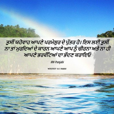 Picture 06 - ਅਸਤਸਨਾ 14:1 PANIRV - ਤੁਸੀਂ ਯਹੋਵਾਹ ਆਪਣੇ - Bible Verse Picture