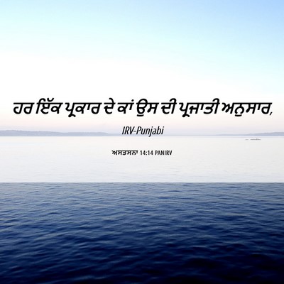 Picture 06 - ਅਸਤਸਨਾ 14:14 PANIRV - ਹਰ ਇੱਕ ਪ੍ਰਕਾਰ ਦੇ - Bible Verse Picture