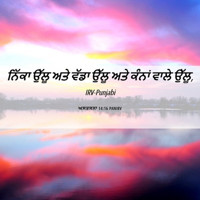 Picture 06 - ਅਸਤਸਨਾ 14:16 PANIRV - ਨਿੱਕਾ ਉੱਲੂ ਅਤੇ - Bible Verse Picture