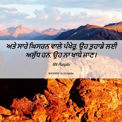 Picture 06 - ਅਸਤਸਨਾ 14:19 PANIRV - ਅਤੇ ਸਾਰੇ ਘਿਸਰਨ - Bible Verse Picture
