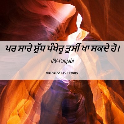 Picture 06 - ਅਸਤਸਨਾ 14:20 PANIRV - ਪਰ ਸਾਰੇ ਸ਼ੁੱਧ - Bible Verse Picture