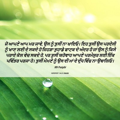 Picture 06 - ਅਸਤਸਨਾ 14:21 PANIRV - ਜੋ ਆਪਣੇ ਆਪ ਮਰ ਜਾਵੇ, - Bible Verse Picture
