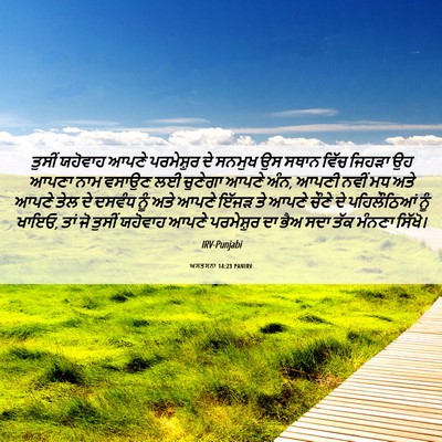 Picture 06 - ਅਸਤਸਨਾ 14:23 PANIRV - ਤੁਸੀਂ ਯਹੋਵਾਹ ਆਪਣੇ - Bible Verse Picture