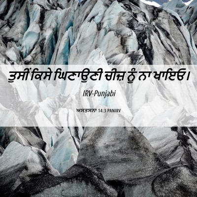 Picture 06 - ਅਸਤਸਨਾ 14:3 PANIRV - ਤੁਸੀਂ ਕਿਸੇ - Bible Verse Picture