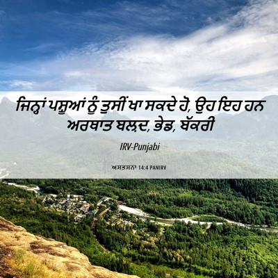Picture 06 - ਅਸਤਸਨਾ 14:4 PANIRV - ਜਿਨ੍ਹਾਂ ਪਸ਼ੂਆਂ - Bible Verse Picture