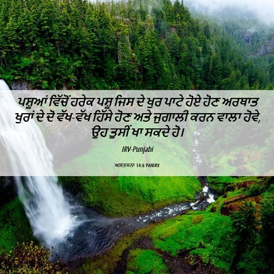 Picture 06 - ਅਸਤਸਨਾ 14:6 PANIRV - ਪਸ਼ੂਆਂ ਵਿੱਚੋਂ - Bible Verse Picture