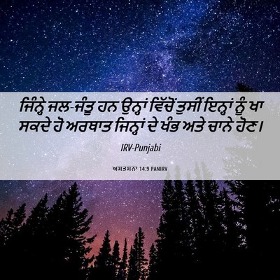 Picture 06 - ਅਸਤਸਨਾ 14:9 PANIRV - ਜਿੰਨ੍ਹੇ ਜਲ-ਜੰਤੂ ਹਨ - Bible Verse Picture