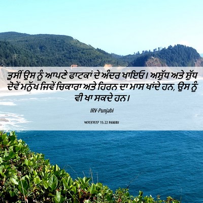 Picture 06 - ਅਸਤਸਨਾ 15:22 PANIRV - ਤੁਸੀਂ ਉਸ ਨੂੰ ਆਪਣੇ - Bible Verse Picture
