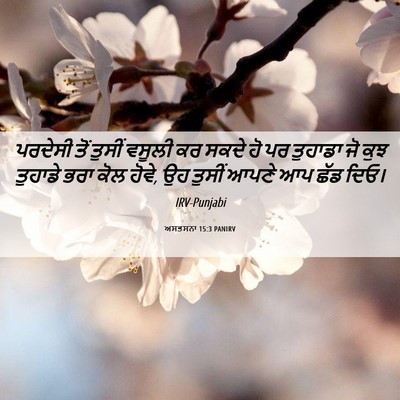 Picture 06 - ਅਸਤਸਨਾ 15:3 PANIRV - ਪਰਦੇਸੀ ਤੋਂ ਤੁਸੀਂ - Bible Verse Picture