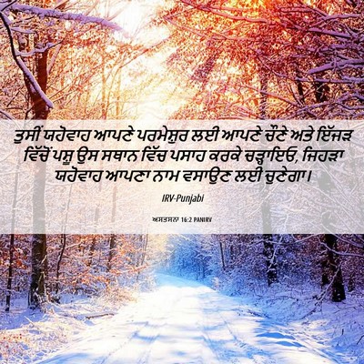 Picture 06 - ਅਸਤਸਨਾ 16:2 PANIRV - ਤੁਸੀਂ ਯਹੋਵਾਹ ਆਪਣੇ - Bible Verse Picture
