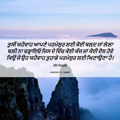 Picture 06 - ਅਸਤਸਨਾ 17:1 PANIRV - ਤੁਸੀਂ ਯਹੋਵਾਹ ਆਪਣੇ - Bible Verse Picture