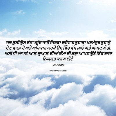 Picture 06 - ਅਸਤਸਨਾ 17:14 PANIRV - ਜਦ ਤੁਸੀਂ ਉਸ ਦੇਸ਼ - Bible Verse Picture