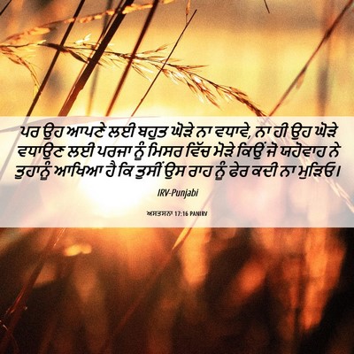 Picture 06 - ਅਸਤਸਨਾ 17:16 PANIRV - ਪਰ ਉਹ ਆਪਣੇ ਲਈ ਬਹੁਤ - Bible Verse Picture