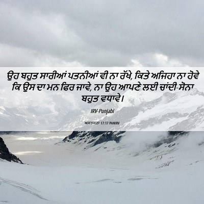 Picture 06 - ਅਸਤਸਨਾ 17:17 PANIRV - ਉਹ ਬਹੁਤ ਸਾਰੀਆਂ - Bible Verse Picture