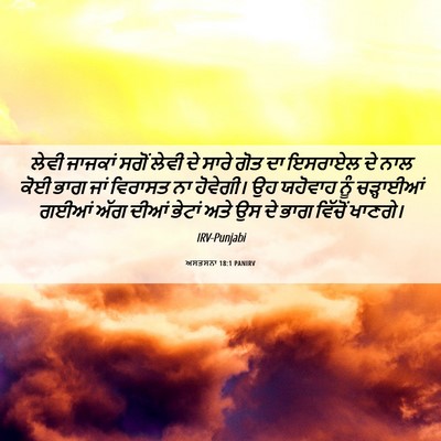 Picture 06 - ਅਸਤਸਨਾ 18:1 PANIRV - ਲੇਵੀ ਜਾਜਕਾਂ ਸਗੋਂ - Bible Verse Picture