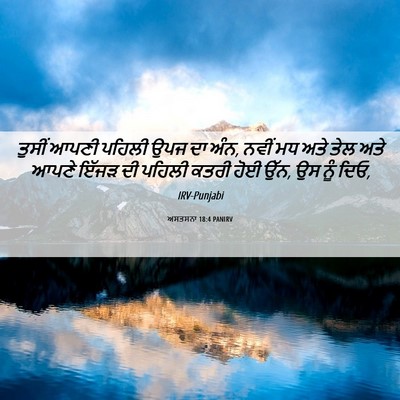 Picture 06 - ਅਸਤਸਨਾ 18:4 PANIRV - ਤੁਸੀਂ ਆਪਣੀ ਪਹਿਲੀ - Bible Verse Picture