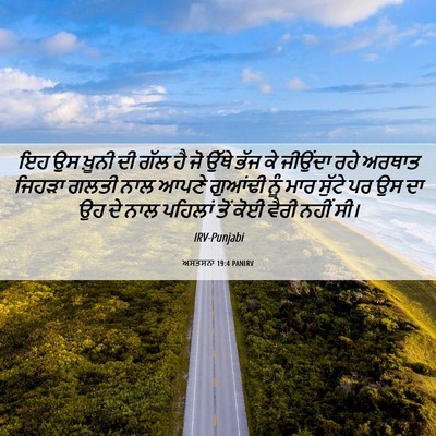 Picture 06 - ਅਸਤਸਨਾ 19:4 PANIRV - ਇਹ ਉਸ ਖ਼ੂਨੀ ਦੀ ਗੱਲ - Bible Verse Picture