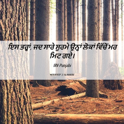Picture 06 - ਅਸਤਸਨਾ 2:16 PANIRV - ਇਸ ਤਰ੍ਹਾਂ, ਜਦ ਸਾਰੇ - Bible Verse Picture