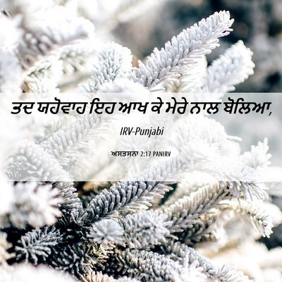 Picture 06 - ਅਸਤਸਨਾ 2:17 PANIRV - ਤਦ ਯਹੋਵਾਹ ਇਹ ਆਖ ਕੇ - Bible Verse Picture