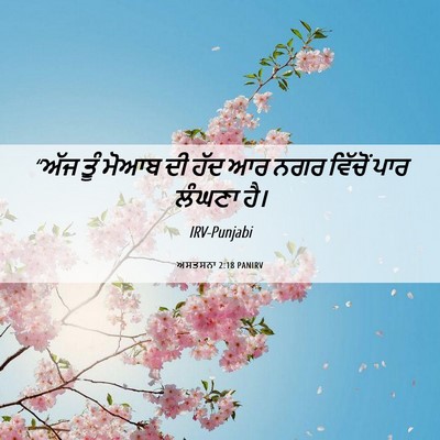 Picture 06 - ਅਸਤਸਨਾ 2:18 PANIRV - “ਅੱਜ ਤੂੰ ਮੋਆਬ ਦੀ - Bible Verse Picture