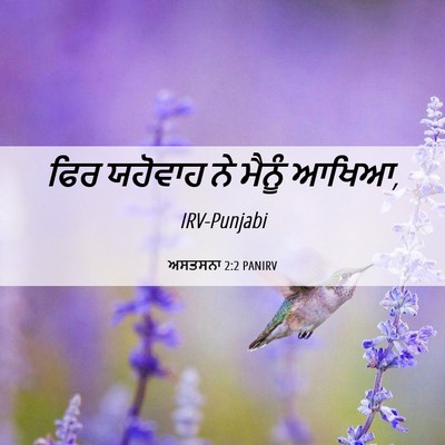 Picture 06 - ਅਸਤਸਨਾ 2:2 PANIRV - ਫਿਰ ਯਹੋਵਾਹ ਨੇ - Bible Verse Picture
