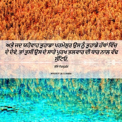 Picture 06 - ਅਸਤਸਨਾ 20:13 PANIRV - ਅਤੇ ਜਦ ਯਹੋਵਾਹ - Bible Verse Picture