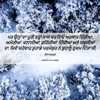Picture 06 - ਅਸਤਸਨਾ 20:17 PANIRV - ਪਰ ਉਨ੍ਹਾਂ ਦਾ ਪੂਰੀ - Bible Verse Picture