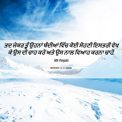 Picture 06 - ਅਸਤਸਨਾ 21:11 PANIRV - ਤਦ ਜੇਕਰ ਤੂੰ ਉਹਨਾਂ - Bible Verse Picture