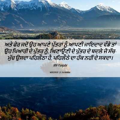 Picture 06 - ਅਸਤਸਨਾ 21:16 PANIRV - ਅਤੇ ਫੇਰ ਜਦੋਂ ਉਹ - Bible Verse Picture